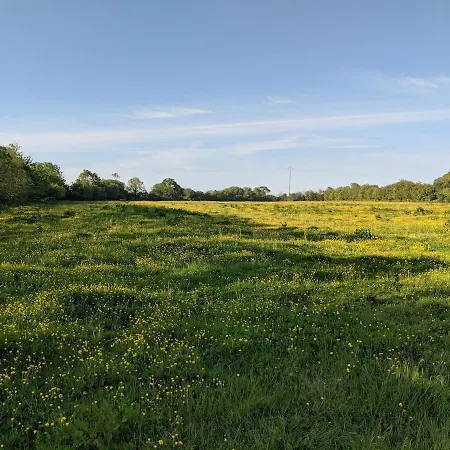 La Ferme De Franqueville 'big Gite' Sainte-Marie-du-Mont (Manche)