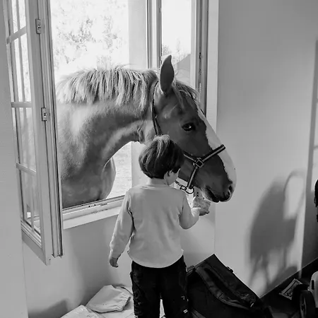 La Ferme De Franqueville 'big Gite' * Sainte-Marie-du-Mont (Manche)