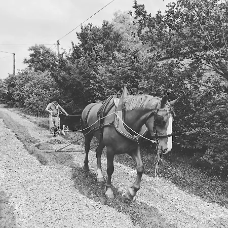 La Ferme De Franqueville 'big Gite' * Sainte-Marie-du-Mont (Manche)