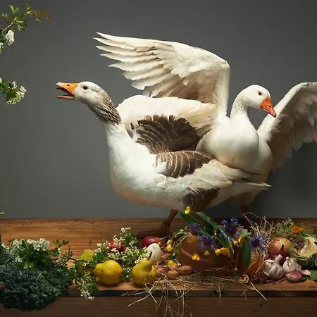 La Ferme De Franqueville 'big Gite' Ferienhaus