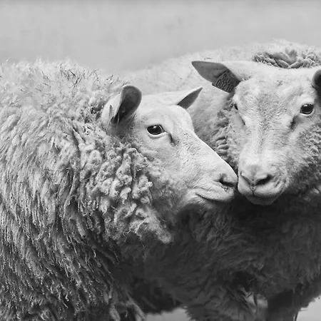 Ferienhaus La Ferme De Franqueville 'big Gite'