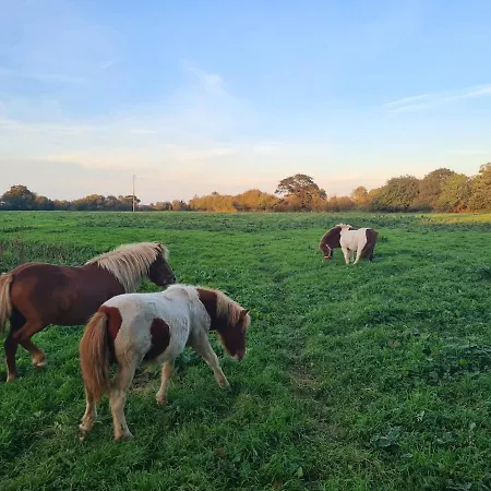 Ferienhaus La Ferme De Franqueville 'big Gite' Sainte-Marie-du-Mont (Manche)